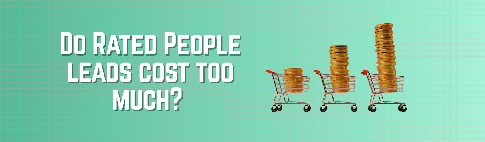 Do Rated People Leads Cost Too Much
