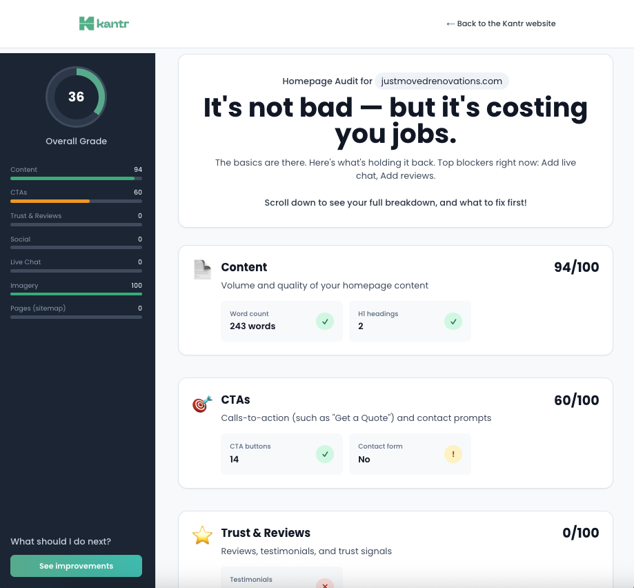 The Website Audit preview